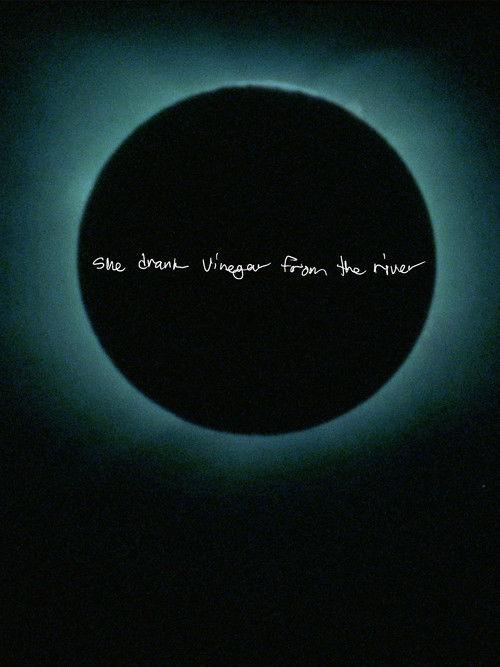 She Drank Vinegar from the River film afişi