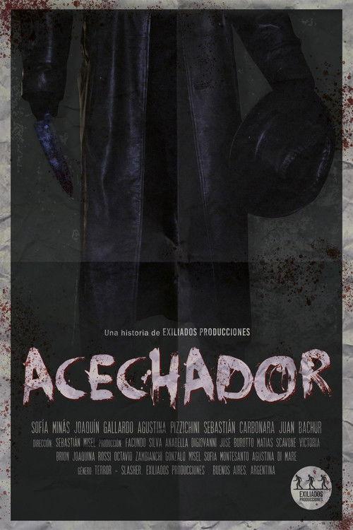 Acechador film afişi