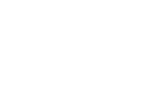 Love and Fury logo
