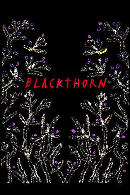 Blackthorn film afişi
