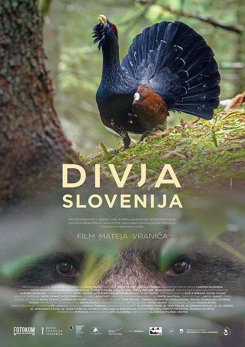 Wild Slovenia film afişi