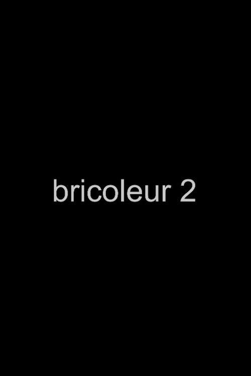 Bricoleur 2 film afişi