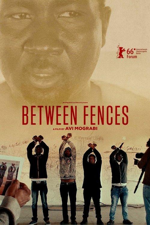 Between Fences film afişi