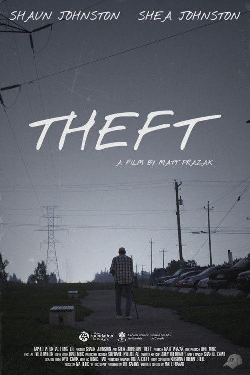 Theft film afişi