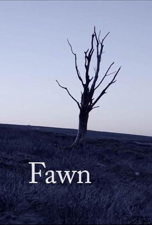Fawn film afişi