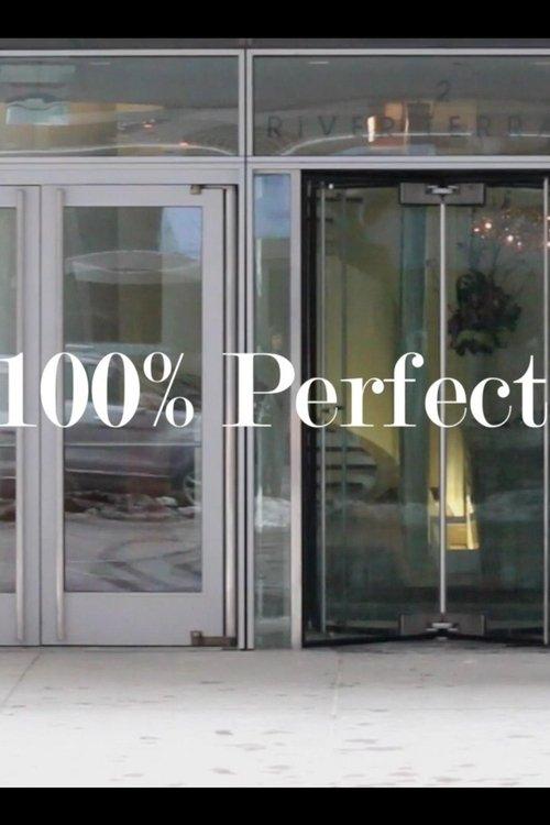 The 100% Perfect Girl film afişi