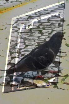 não tenho dormido muito mas continuo sonhando a cada piscada film afişi