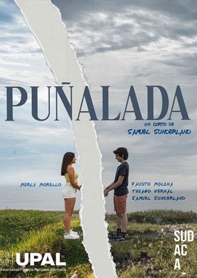 Puñalada film afişi