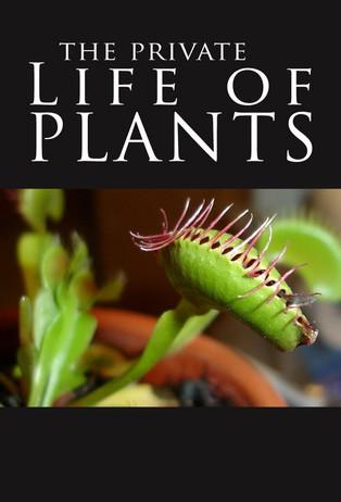 The Private Life of Plants dizi afişi