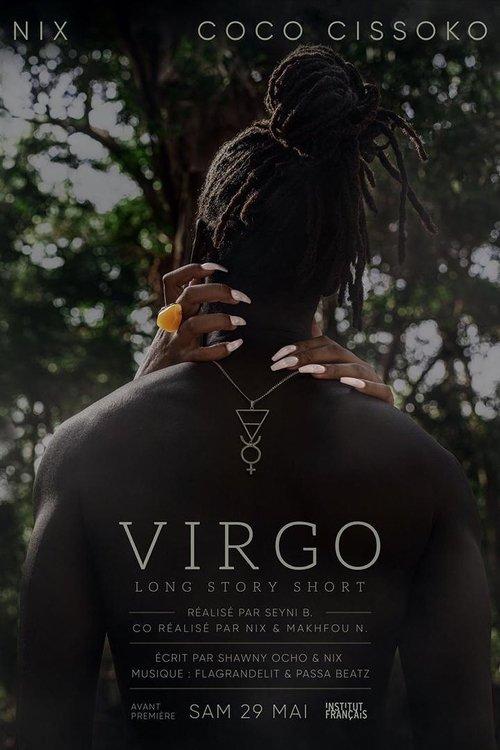 Virgo – Long Story Short film afişi