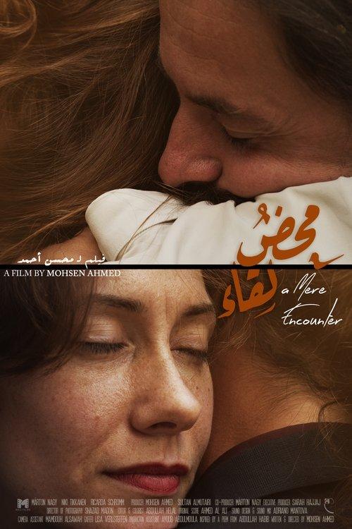 A Mere Encounter film afişi