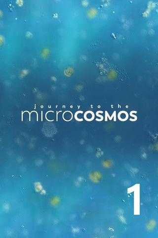 Journey to the Microcosmos Sezon 1