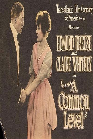 A Common Level film afişi