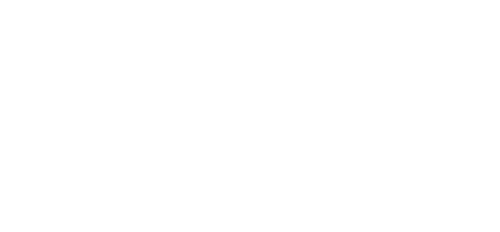 Boise Boys logo