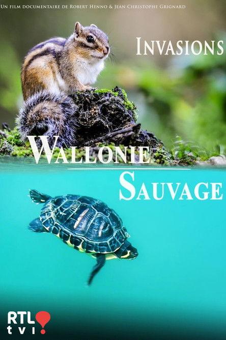 Wallonie sauvage dizi afişi