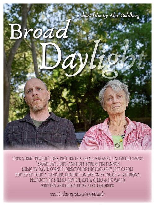 Broad Daylight film afişi