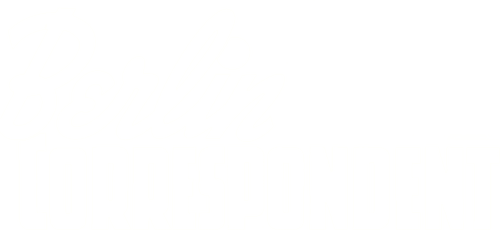 Berlin Correspondent logo