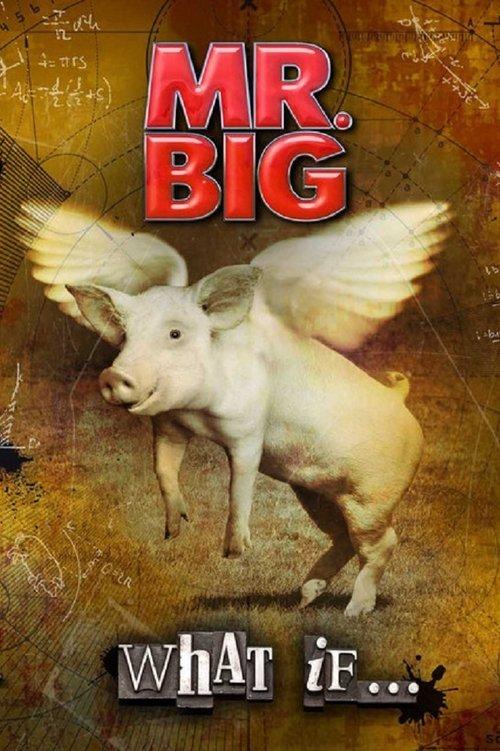 Mr. Big: The Making Of 'What If...' film afişi