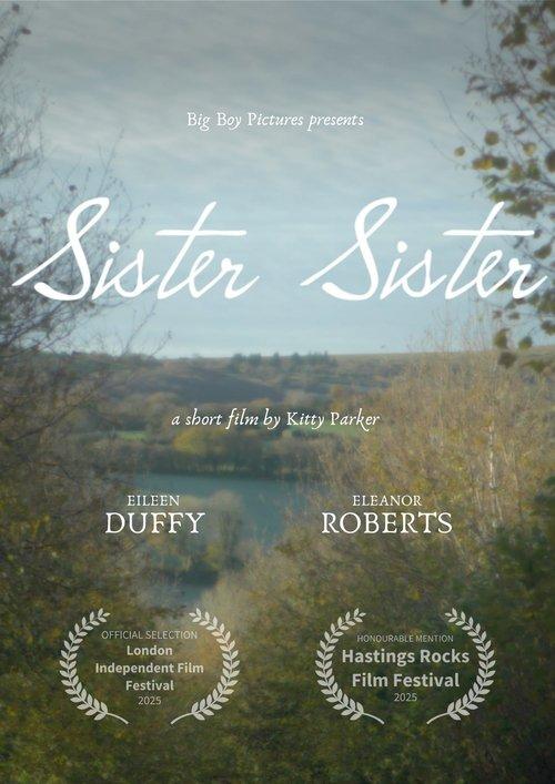 Sister, Sister film afişi