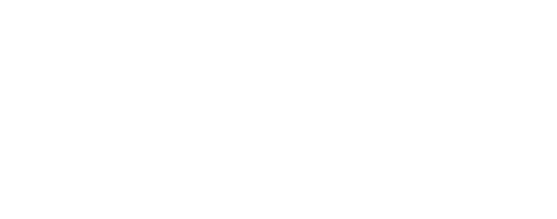 UFC 316: Dvalishvili vs. O'Malley 2 logo