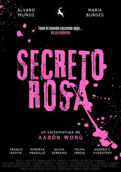 Secreto Rosa film afişi