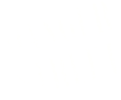 Danger Street logo