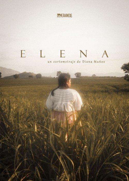 Elena film afişi
