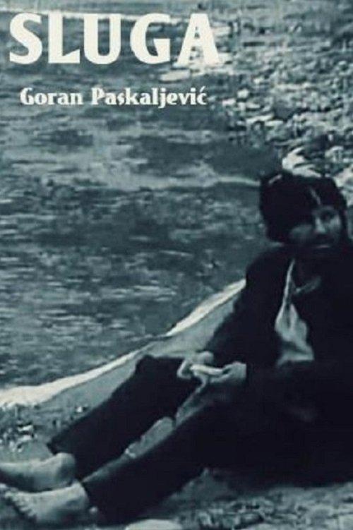 The Servant film afişi