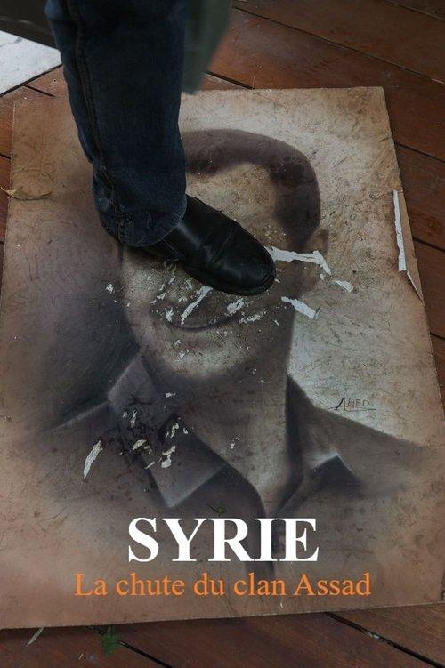 Syrie : la chute du clan Assad film afişi