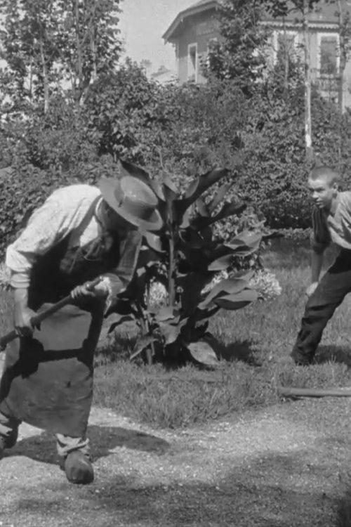 Arroseur et arrosé, III film afişi