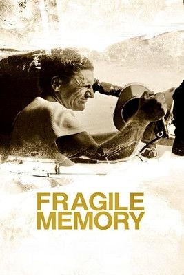 Fragile Memory film afişi