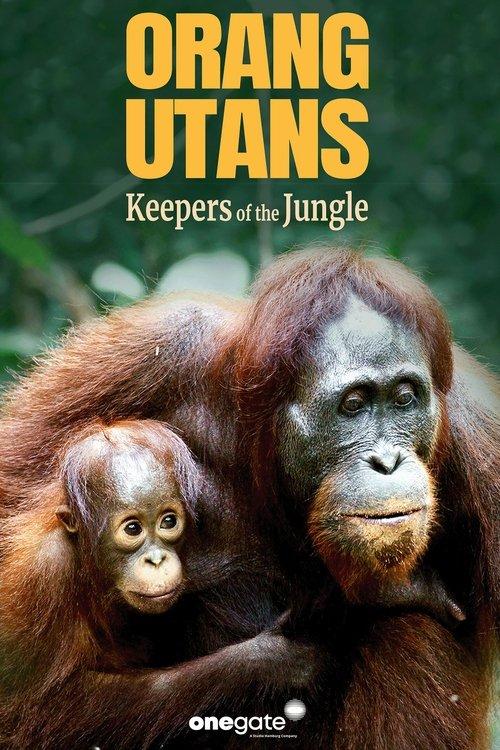 Orang Utans - Keepers of the Jungle film afişi