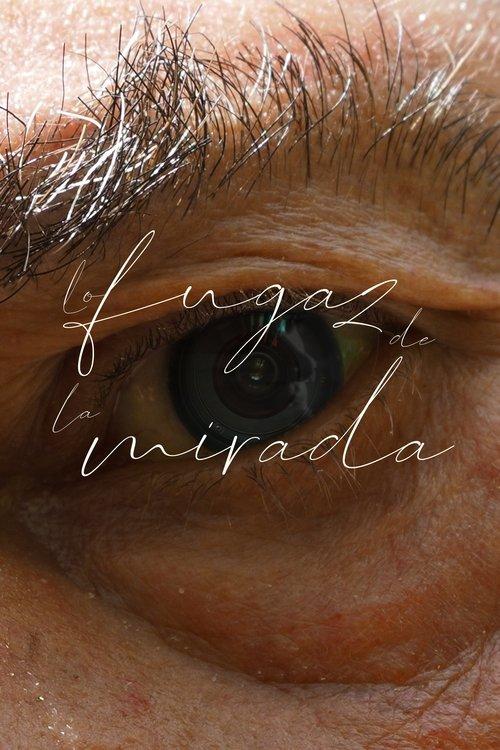 Lo fugaz de la mirada film afişi