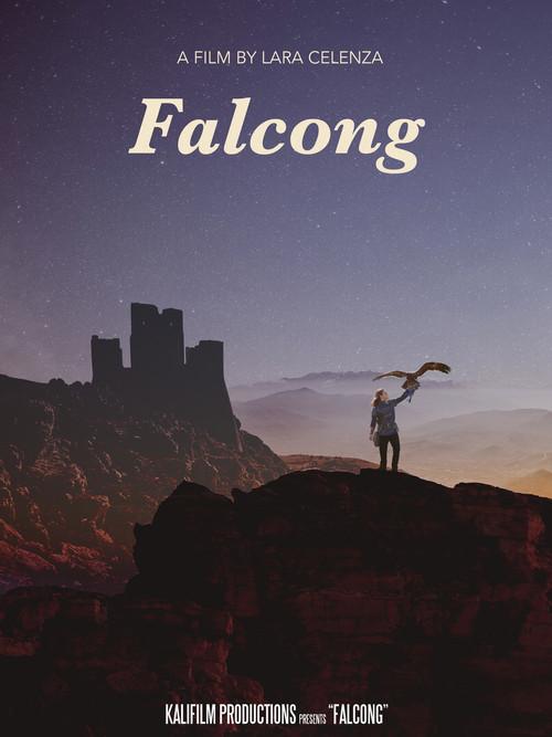 Falcong film afişi