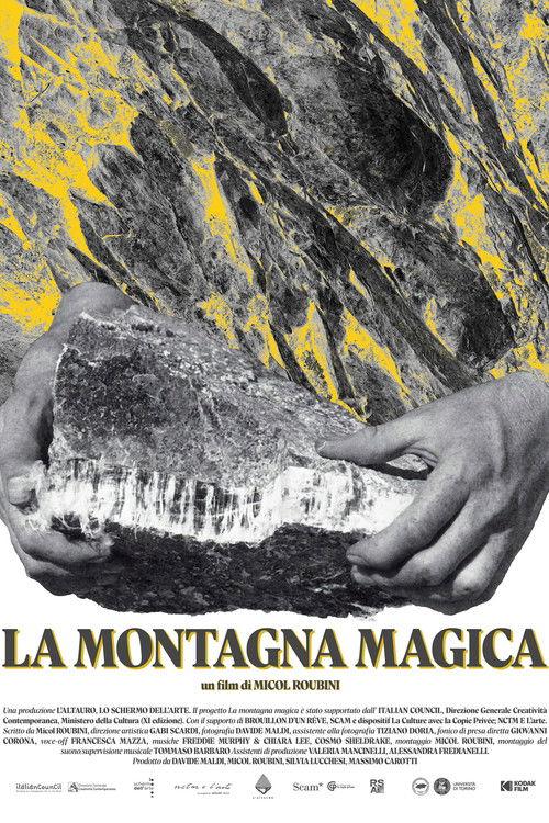 La montagna magica film afişi