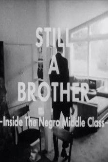 Still A Brother: Inside the Negro Middle Class film afişi