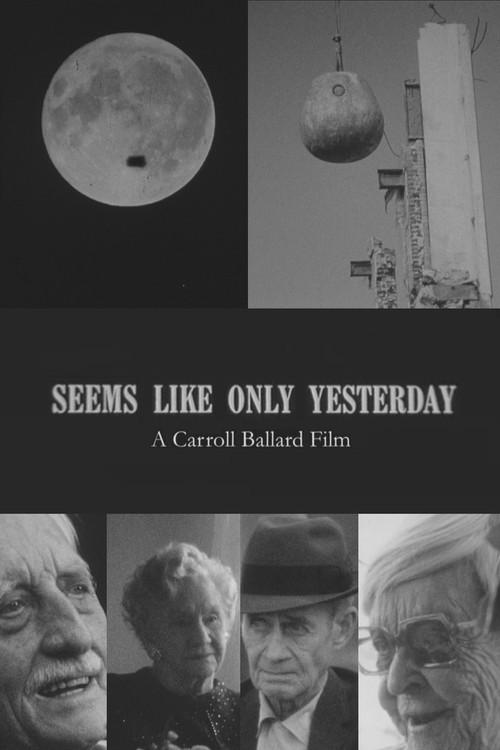 Seems Like Only Yesterday film afişi