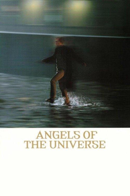 Angels of the Universe film afişi