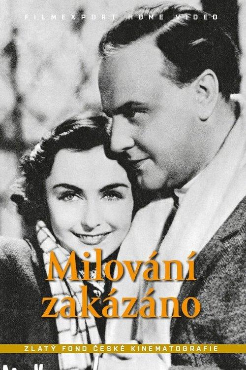 Milování zakázáno film afişi