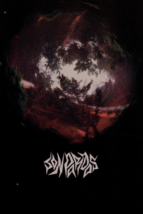 Grey at Night film afişi