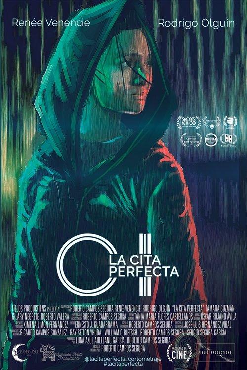 The Perfect Date film afişi