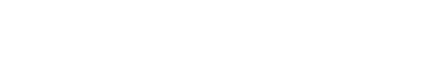 The Imperfect Lady logo