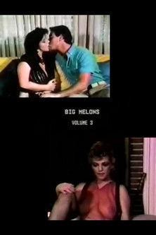 Big Melons 3 film afişi