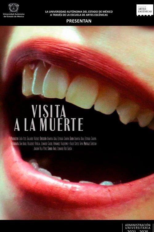 Visit to Death film afişi