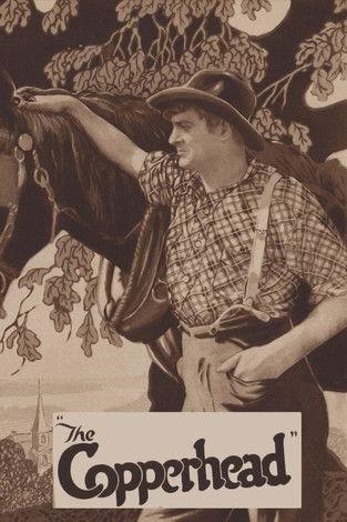 The Copperhead film afişi