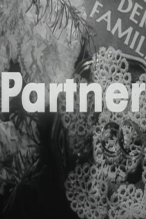 Partner film afişi