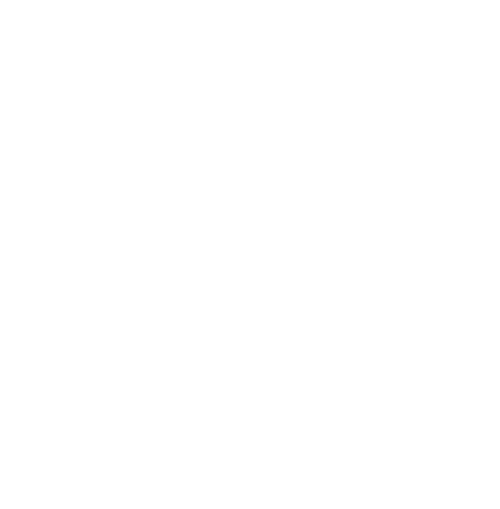 Nazi Love Camp 27 logo