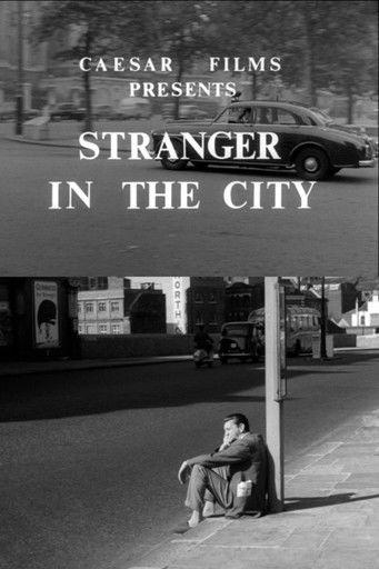 Stranger in the City film afişi