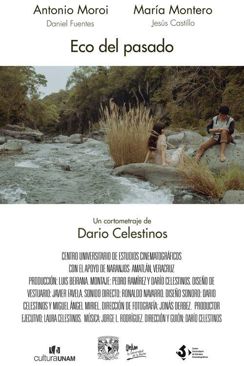 Echo of the Past film afişi