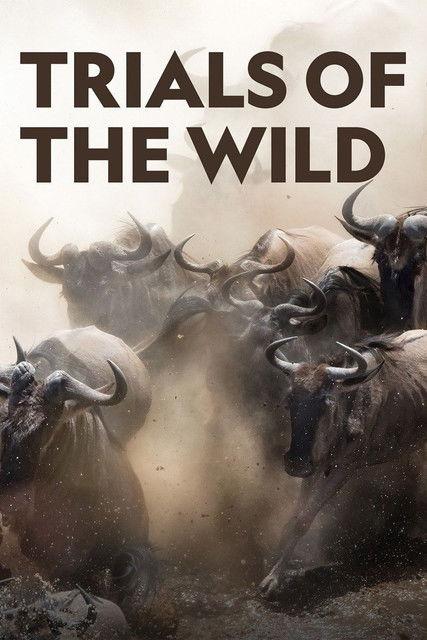 Trials of the Wild dizi afişi